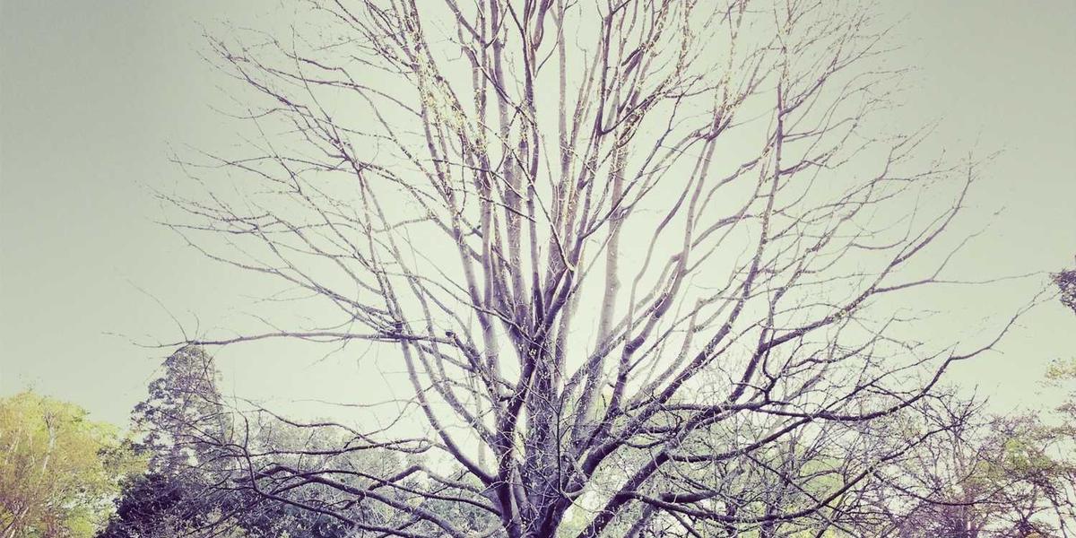 The Most Anticipated Literary Adaptations Coming to TV and Film in 2026